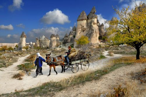 Yarışmada Türkiye'yi bu fotoğraflar temsil edecek - Sayfa 1