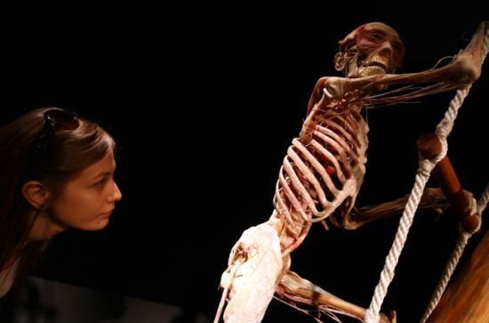 Body Worlds Ankaralılar'ı bekliyor - Sayfa 1