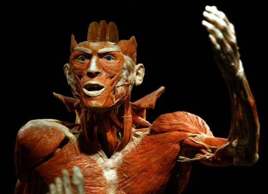 Body Worlds Ankaralılar'ı bekliyor - Sayfa 2