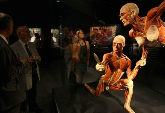 Body Worlds Ankaralılar'ı bekliyor - Sayfa 4