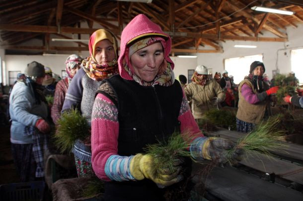 Kadınlar doğaya yeşil makyaj yapıyorlar - Sayfa 1