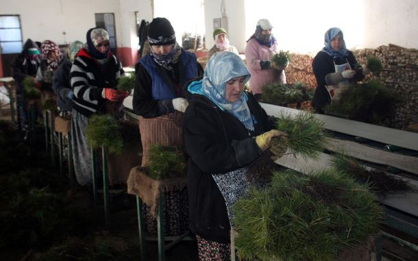 Kadınlar doğaya yeşil makyaj yapıyorlar - Sayfa 4