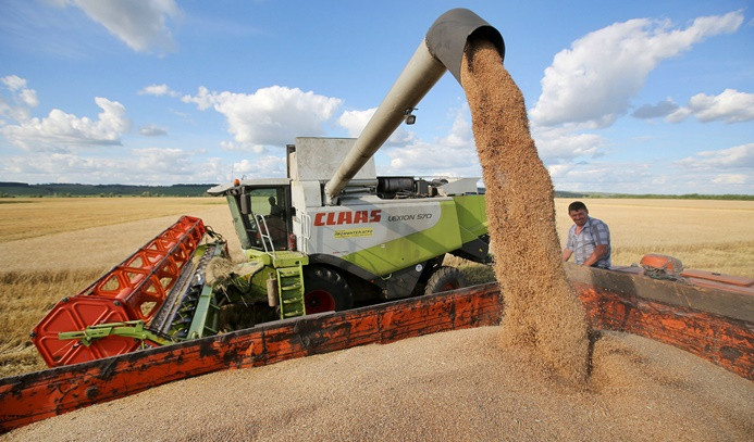 TMO, 230 bin ton buğday aldı