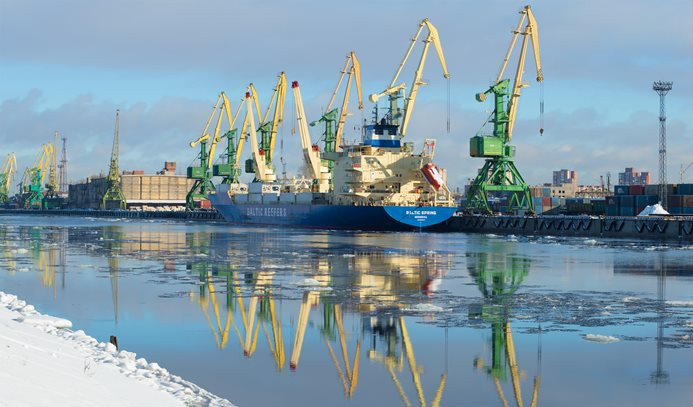 Rusya'nın dış ticaret fazlası yüzde 31 arttı