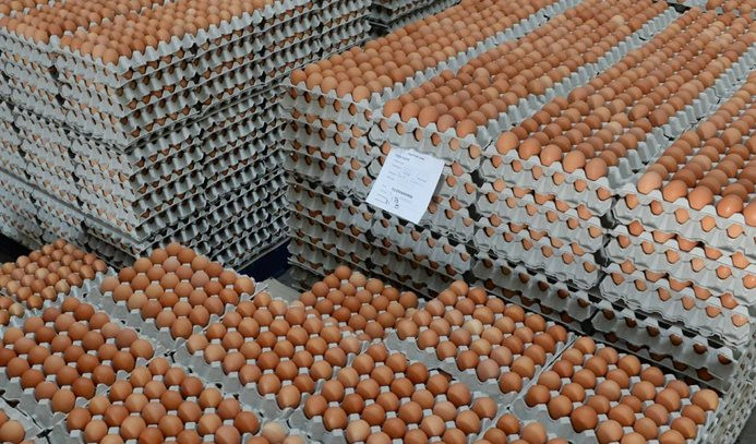 En yüksek artış yumurta fiyatlarında