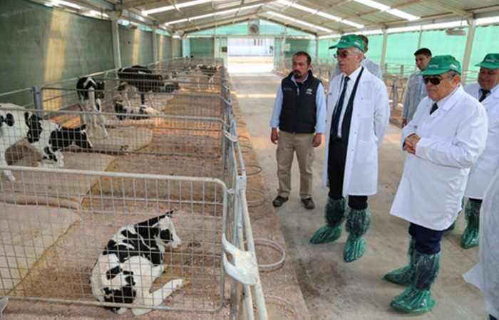 19 şirket hangi yatırımı yapacak?