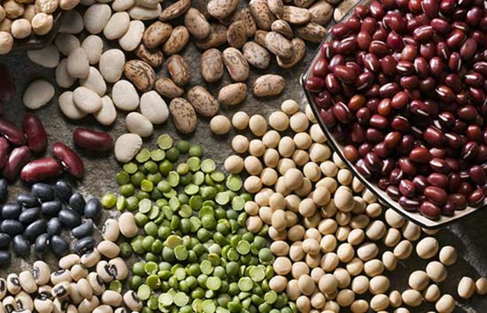 Artan Talep Yayla Agro Yu Kesintisiz Uretime Gecirdi Sirket Haberleri