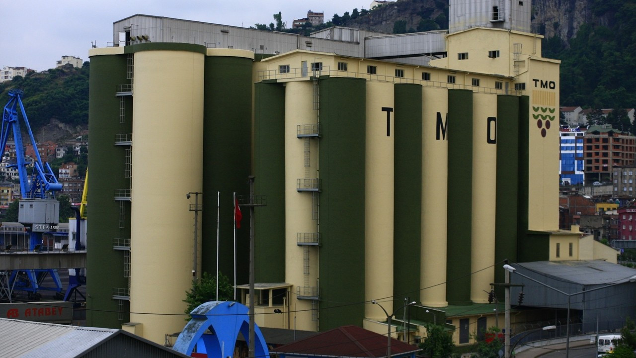 TMO, 400 bin tonluk buğday ihalesi açtı
