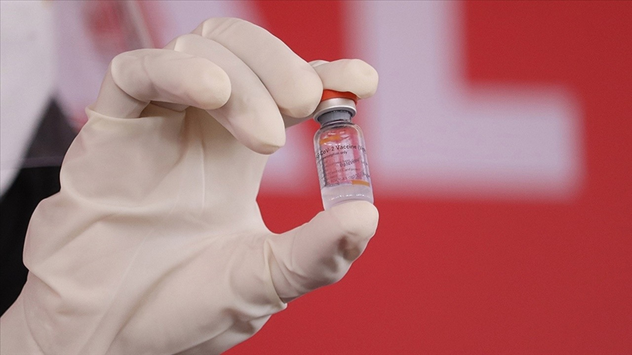 Brezilya, CoronaVac aşısını uygulamaya başlıyor