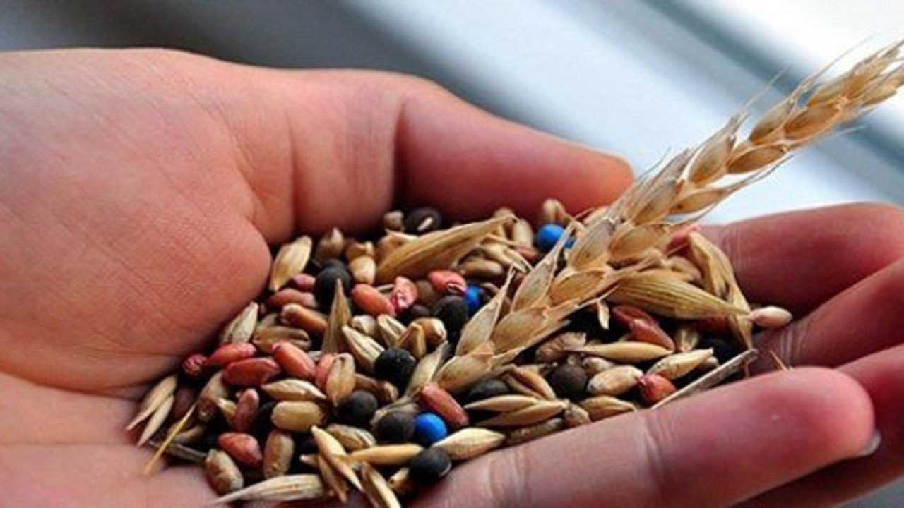 TİGEM tohumlarının Irak'a satışı için bayilik yetkisi verilecek