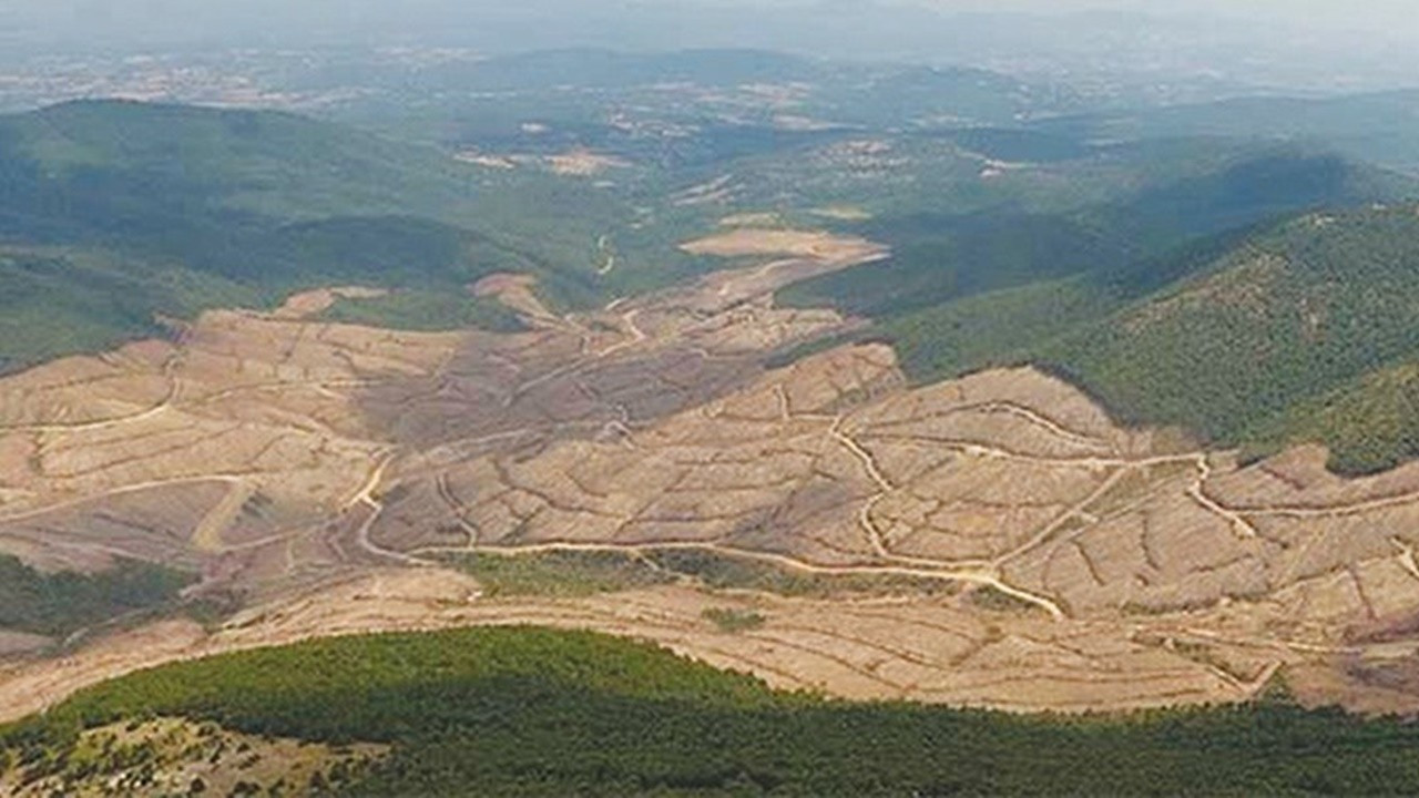 Tahribat nedeniyle yılda 24 milyar ton üst toprak tabakası kayboldu
