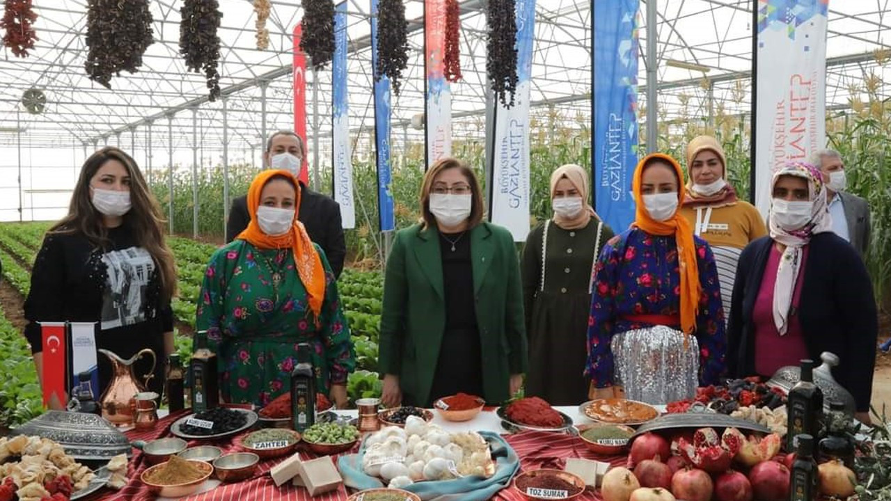 Gaziantep, kadın kooperatifleri  ile tarımda dünyaya açılacak