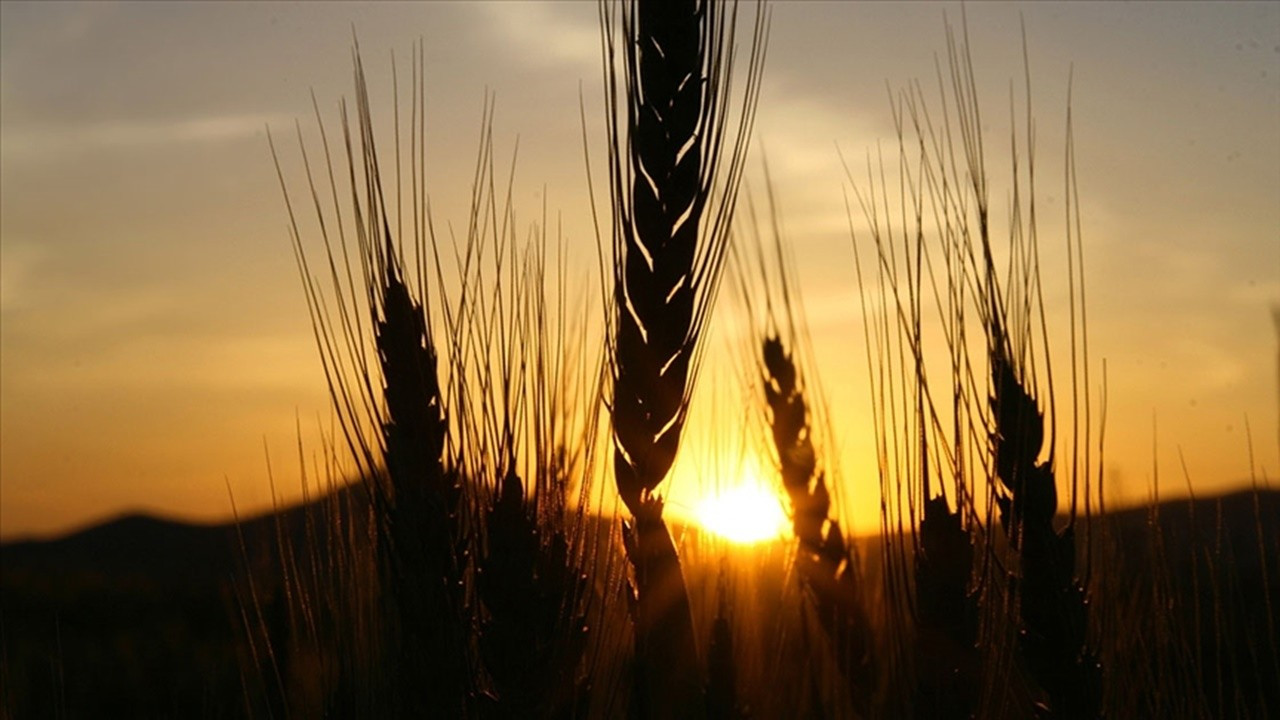 CHP’li belediyelerin tarım zirvesi yarın başlıyor