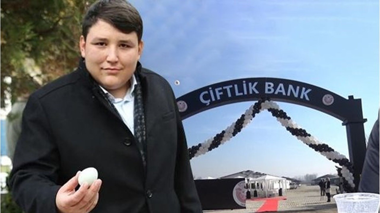 Çiftlik Bank kurucusu Mehmet Aydın'a 4 gün gözaltı süresi verildi