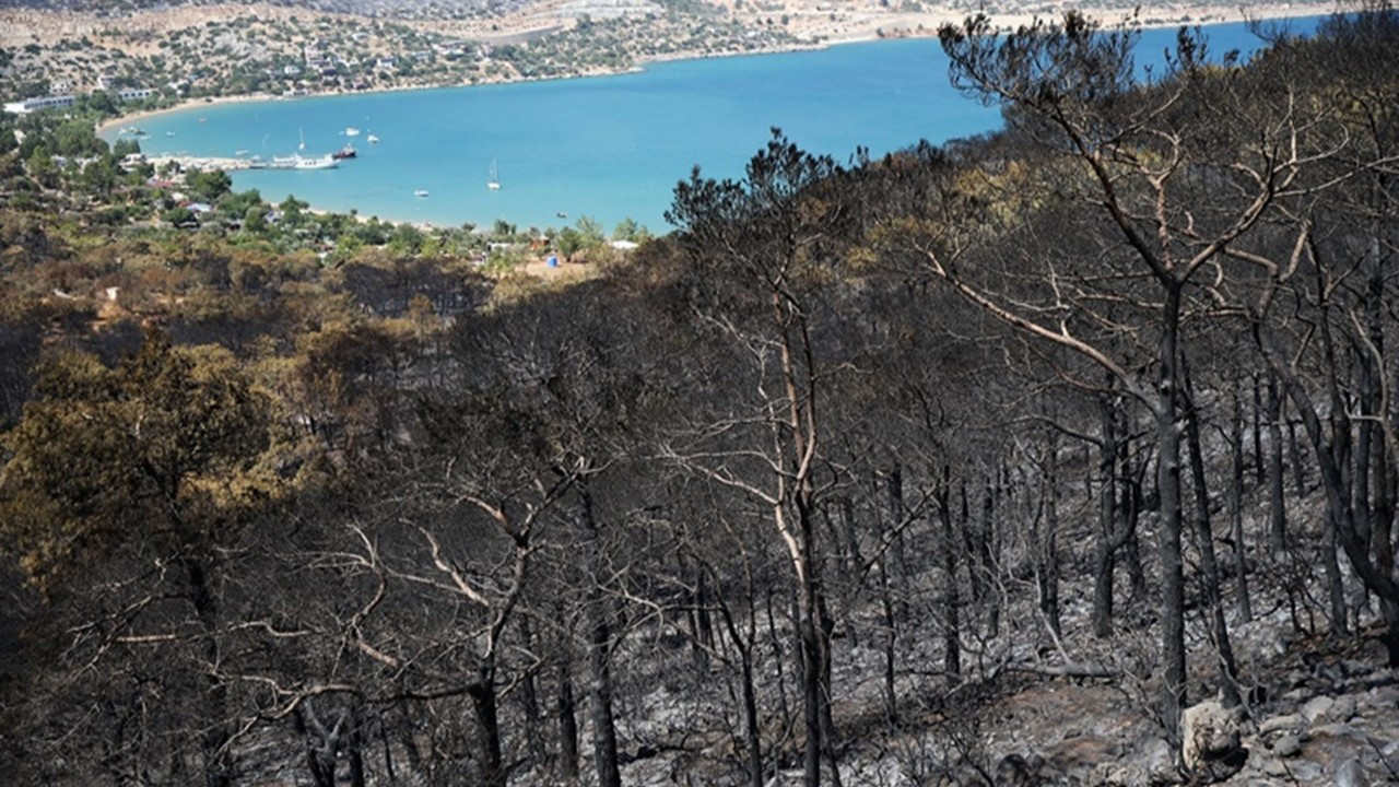 Müdahale devam ediyor: Orman yangınlarında son durum