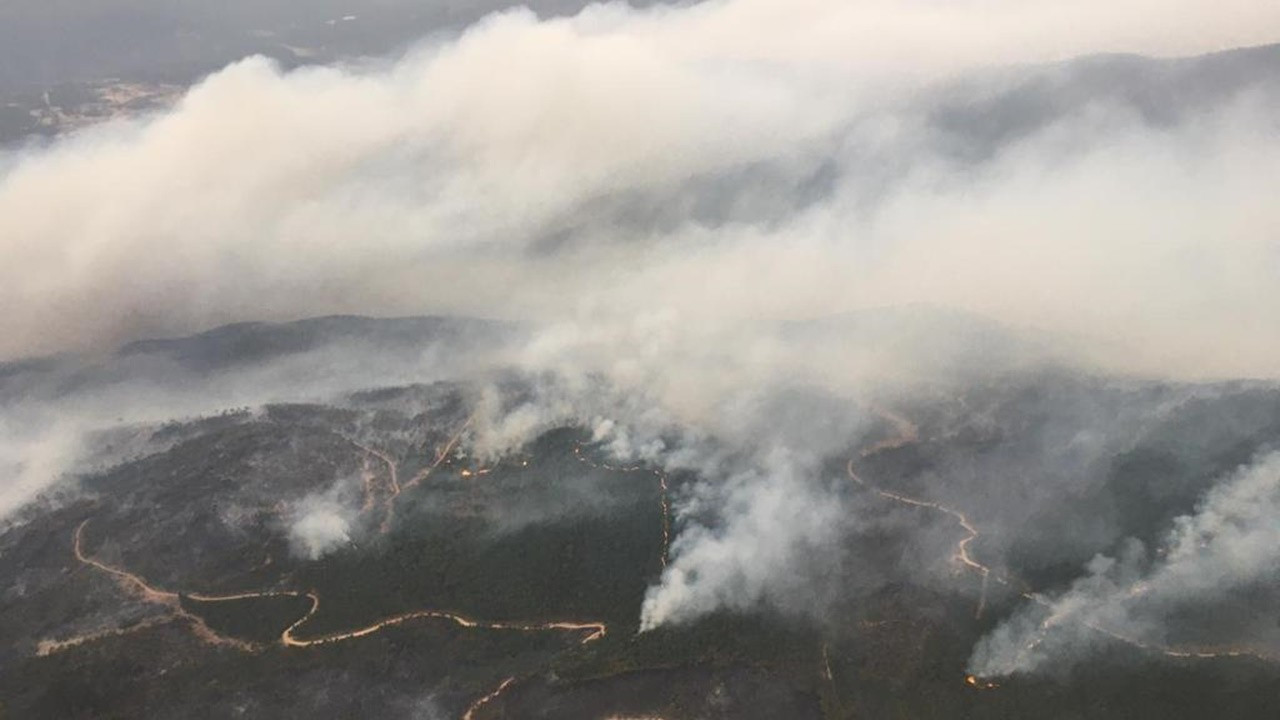 Orman yangınlarıyla mücadele devam ediyor: İşte son durum