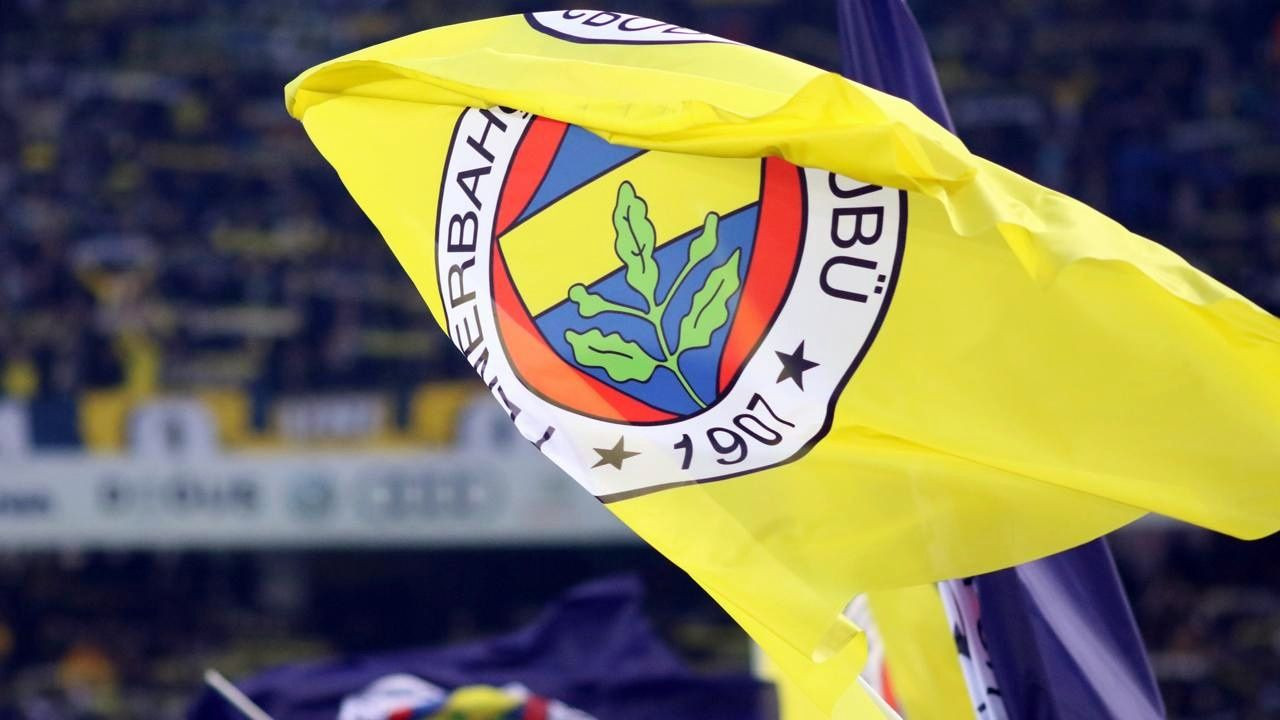 'Fenerbahçe Token' piyasaya nasıl sunulacak? - Sayfa 3