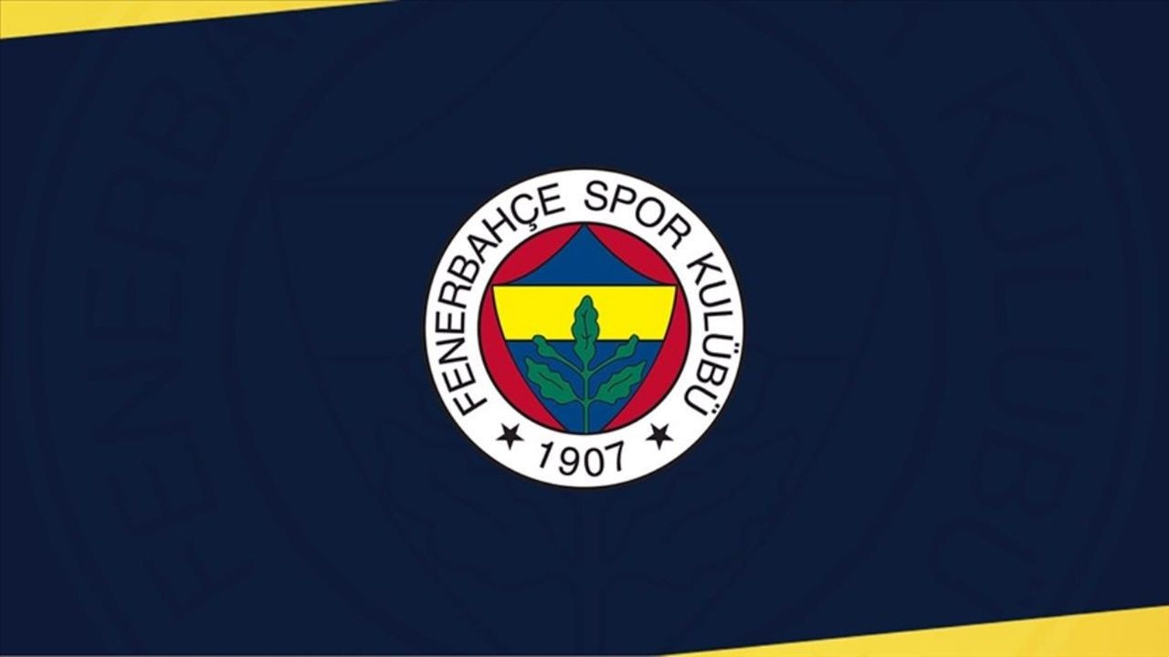 'Fenerbahçe Token' piyasaya nasıl sunulacak? - Sayfa 4