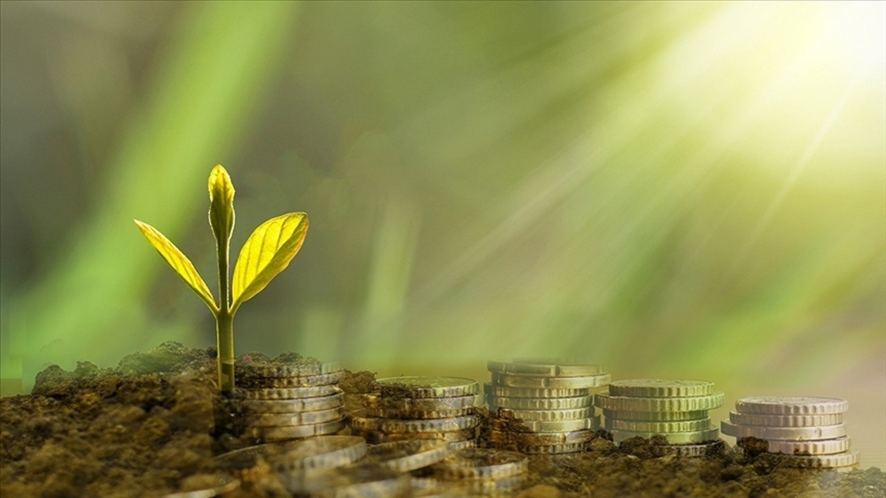 Yeşil finansın gelişimi için küresel standart adımı