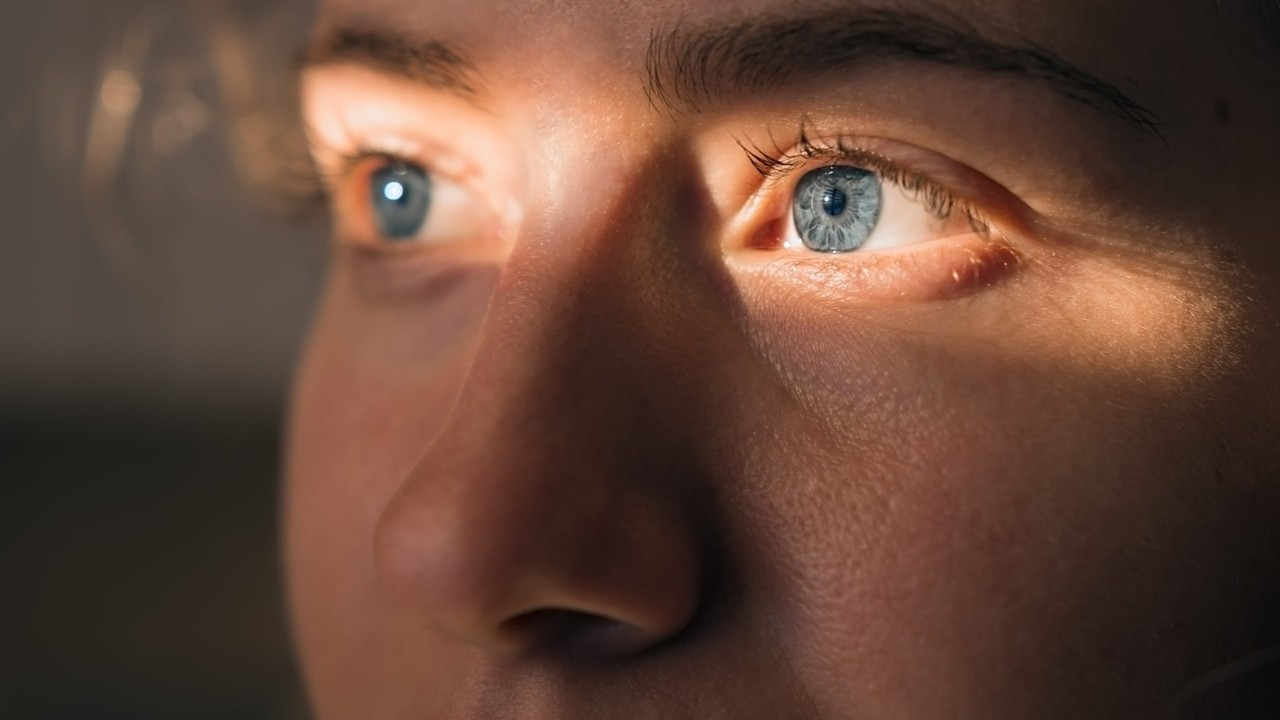 Sabanci Universitesi Tedavisi Olmayan Gece Korlugune Care Ariyor Dunya Gazetesi Sabanci Universitesi Tedavisi Olmayan Gece Korlugune Care Ariyor Dunya Gazetesi