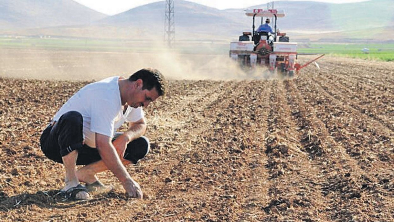 TEPAV: Ekim ayında çiftçi sayısı 500 bin seviyesine geriledi