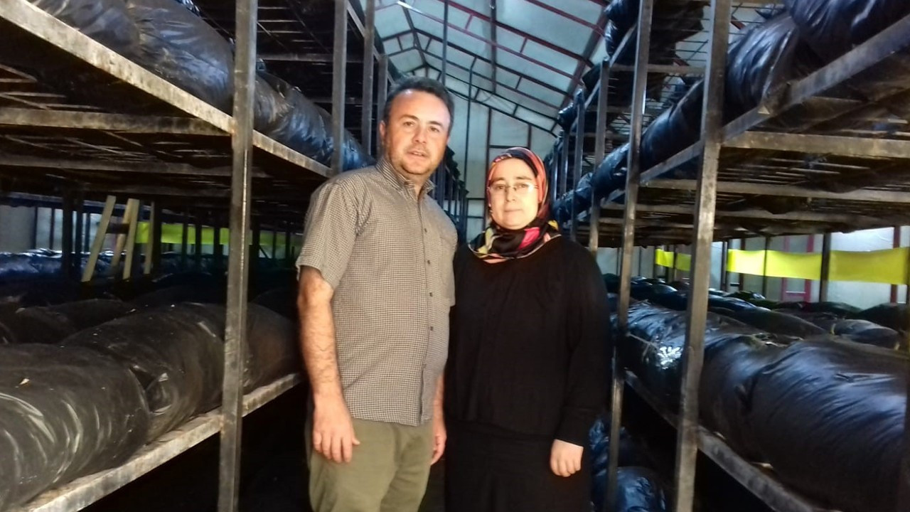 Bartınlı Özdemir çifti, 2’nci tesisle mantar üretimini 40 tona çıkardı