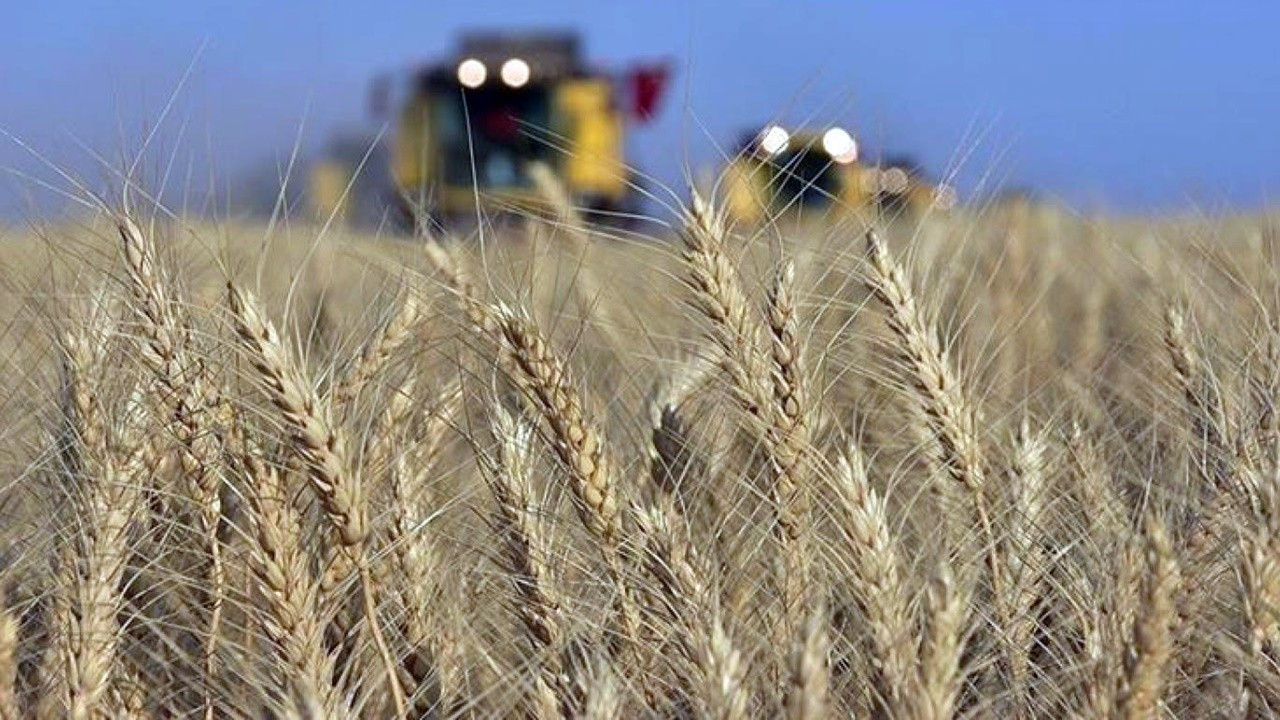 Buğday ve soya fasulyesi fiyatları yükselişte