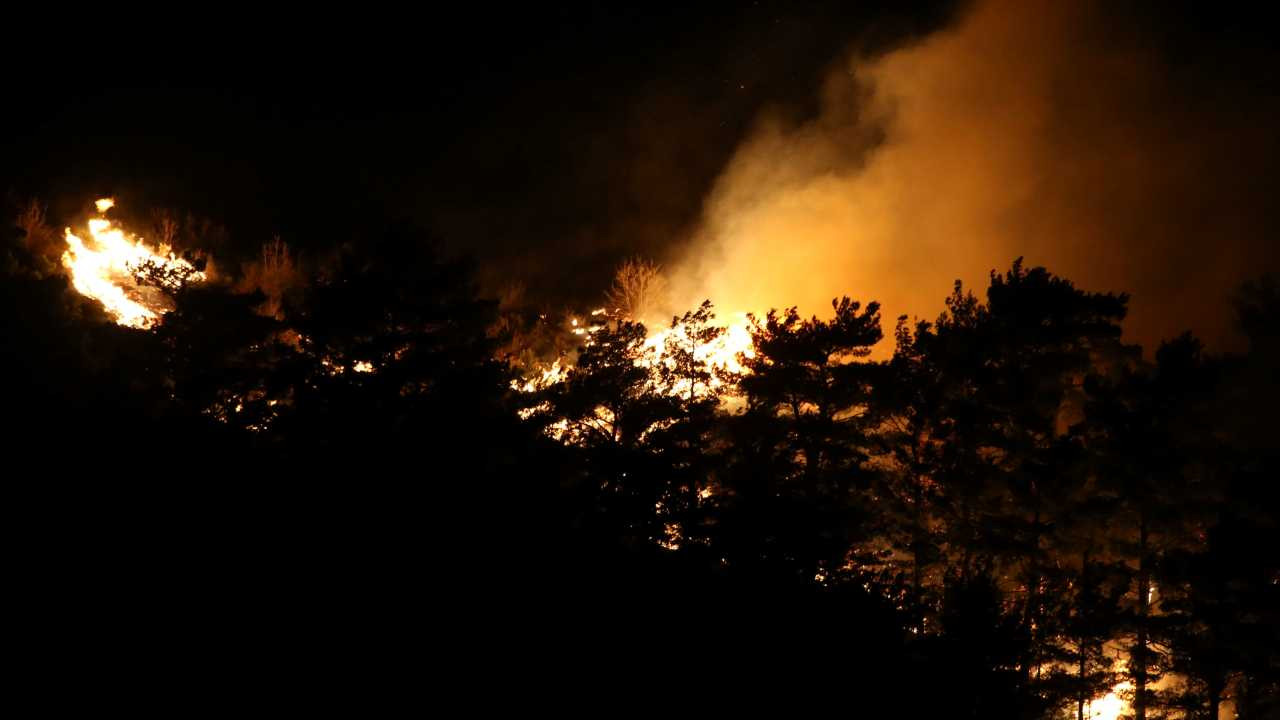 Çanakkale'deki orman yangını büyüyor