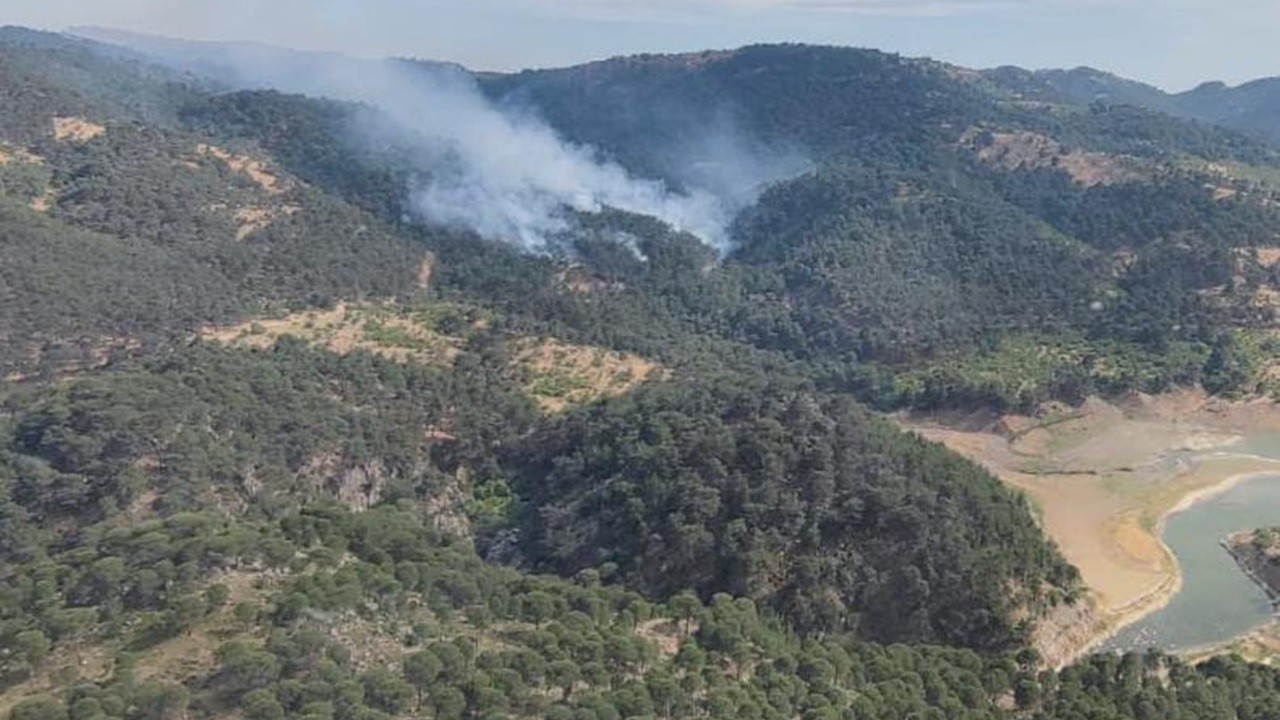 İzmir'in Urla ve Dikili ilçelerinde orman yangını