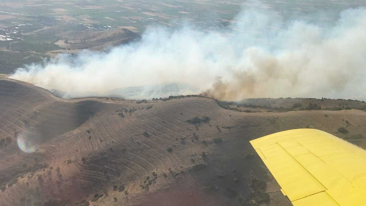 İzmir Tire'de orman yangını