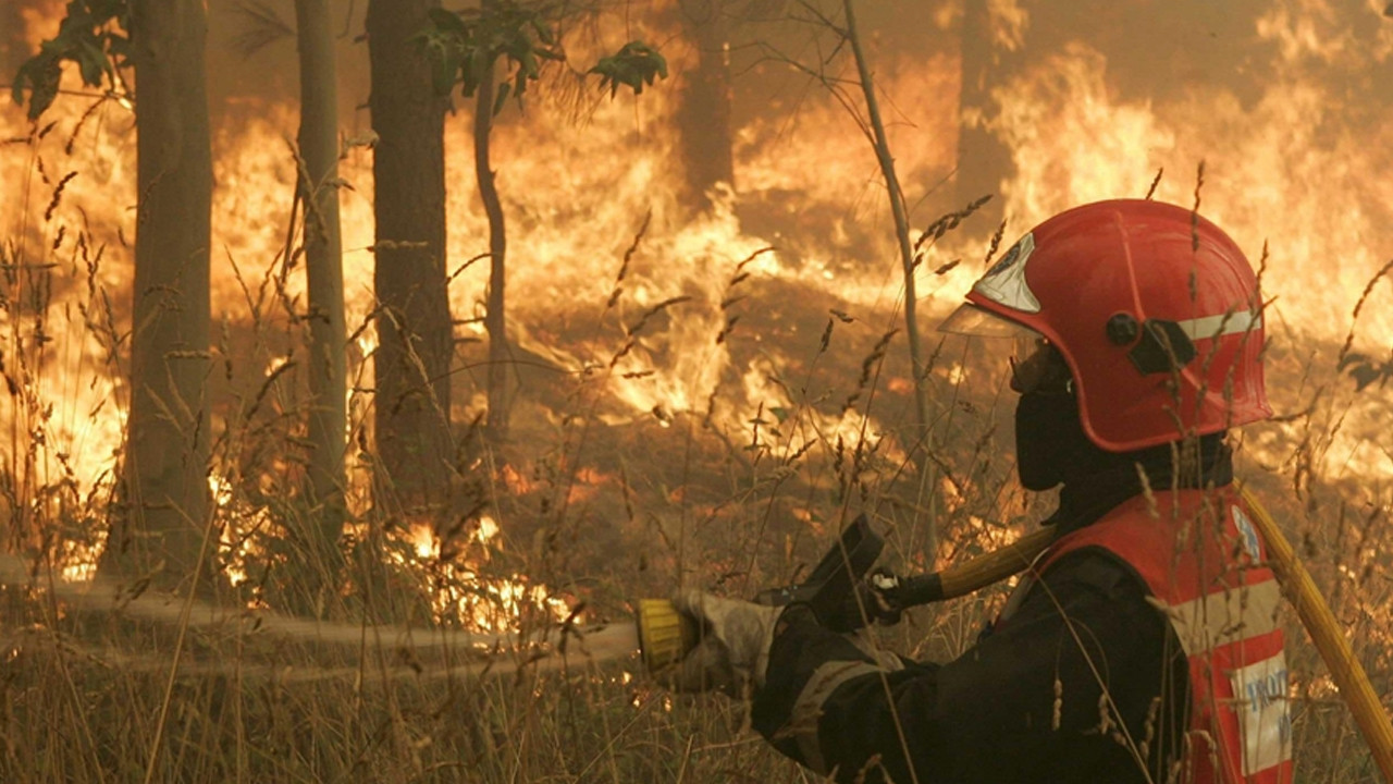 İspanya'da 30 farklı noktada orman yangını