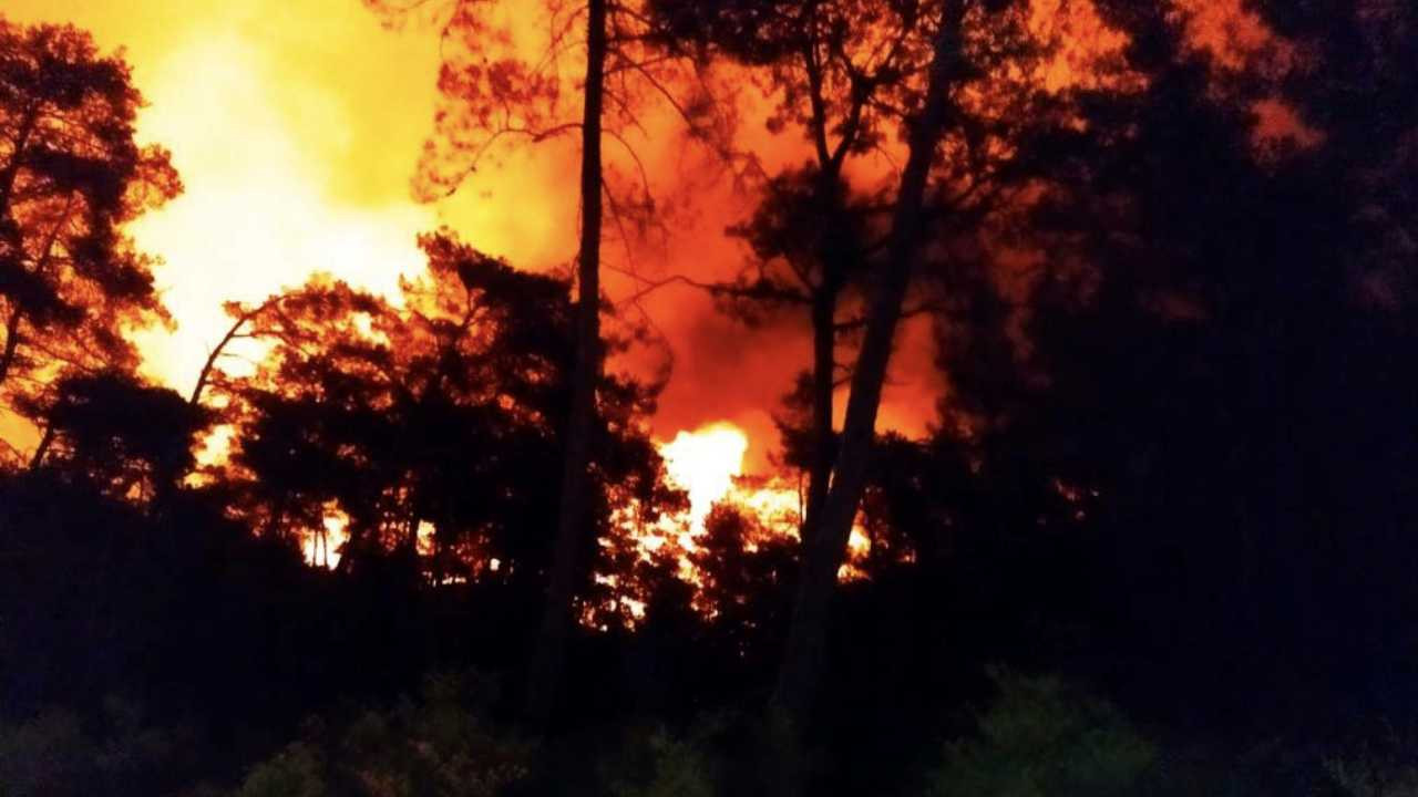 Marmaris'te çıkan orman yangınına müdahale sürüyor