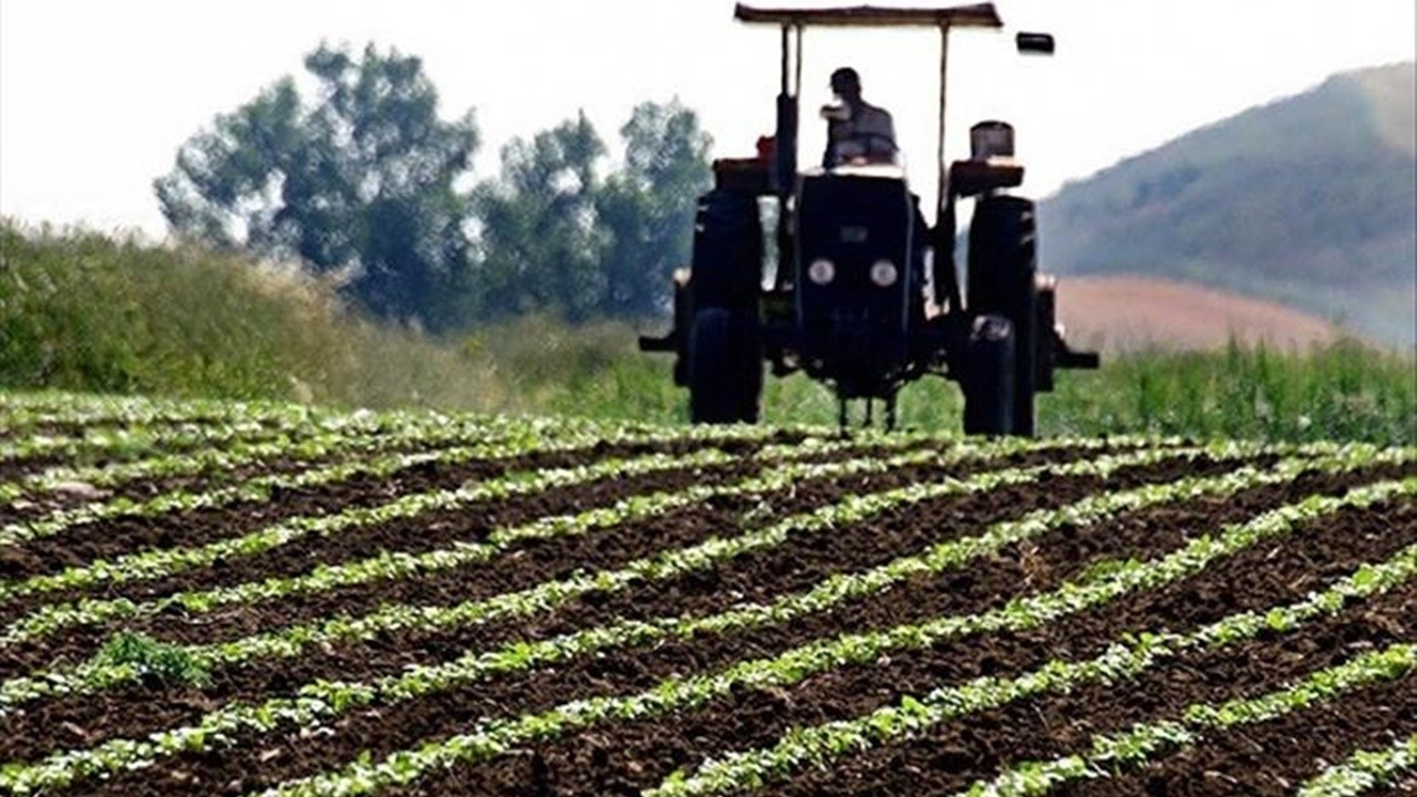 Tarım ÜFE yıllık yüzde 151,03 arttı