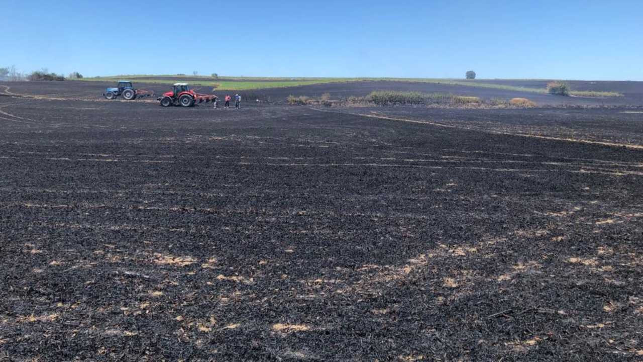 Tekirdağ'da 130 dönüm buğday ekili alan yandı
