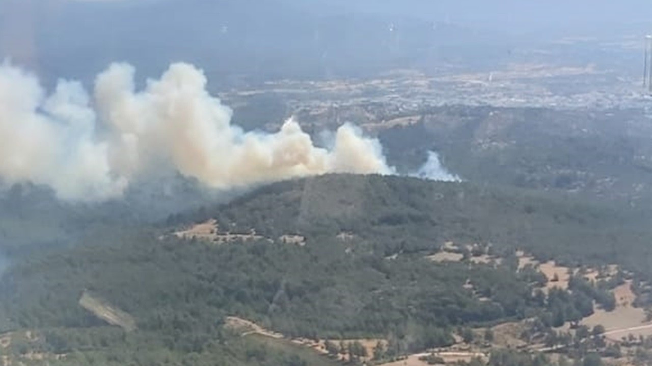 Bodrum'daki orman yangını söndürüldü