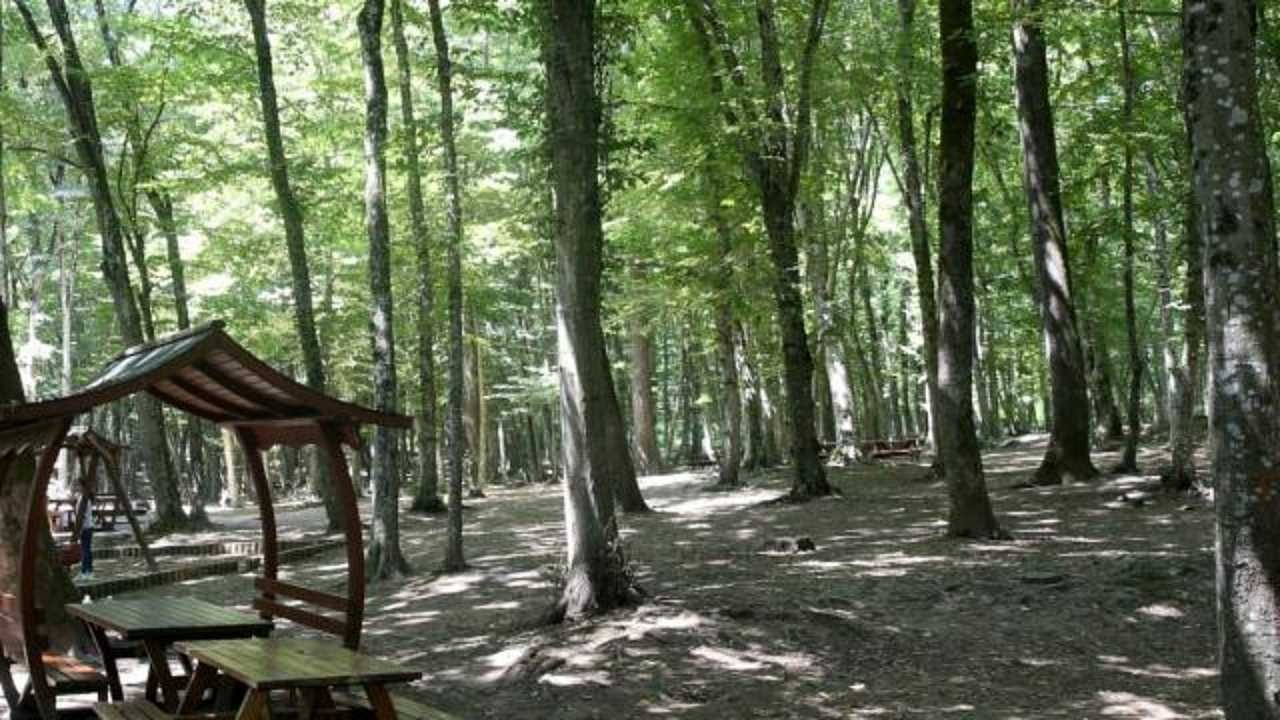 Aydın'da ormanlık alanlara girişler 5 gün süreyle yasaklandı