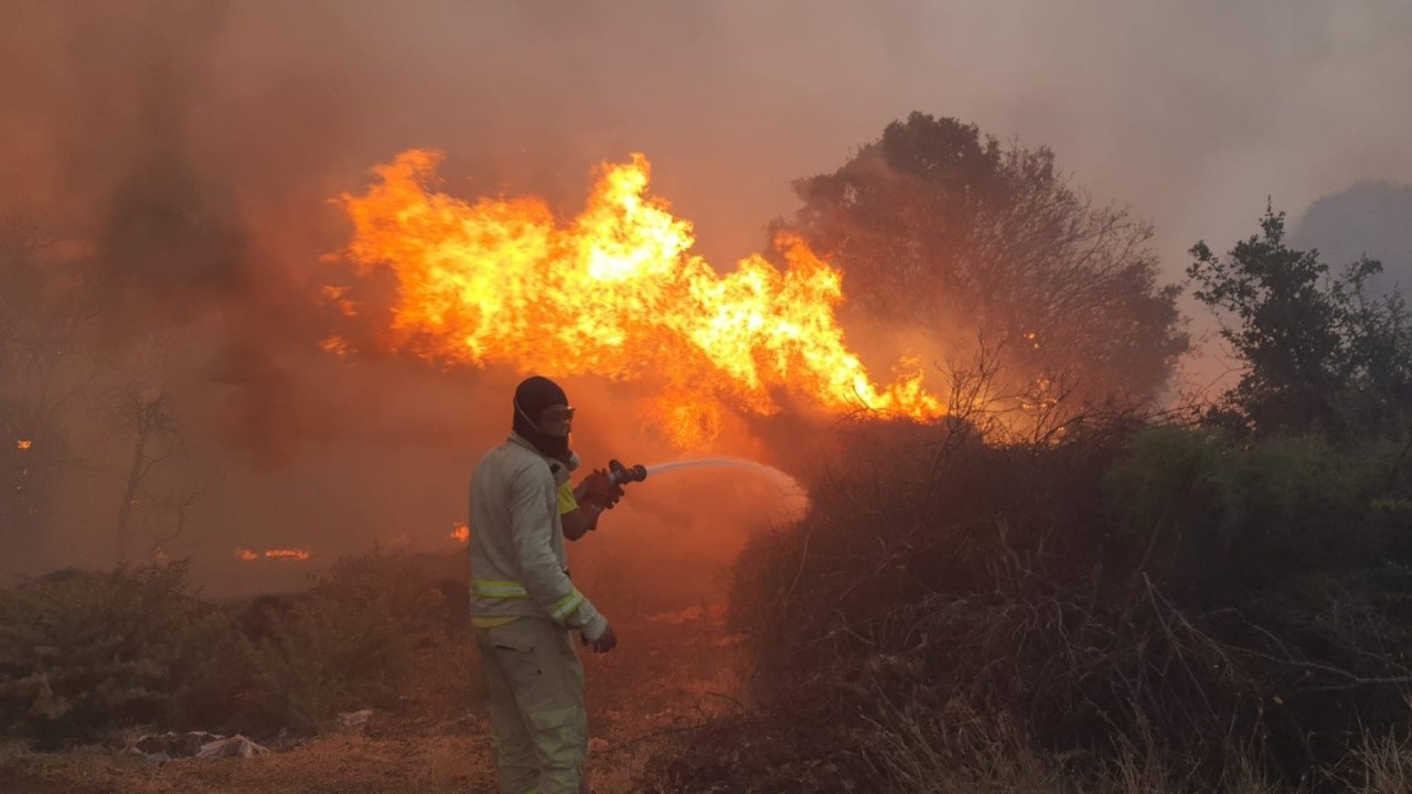 Manisa'daki orman yangınında 20 ev boşaltıldı