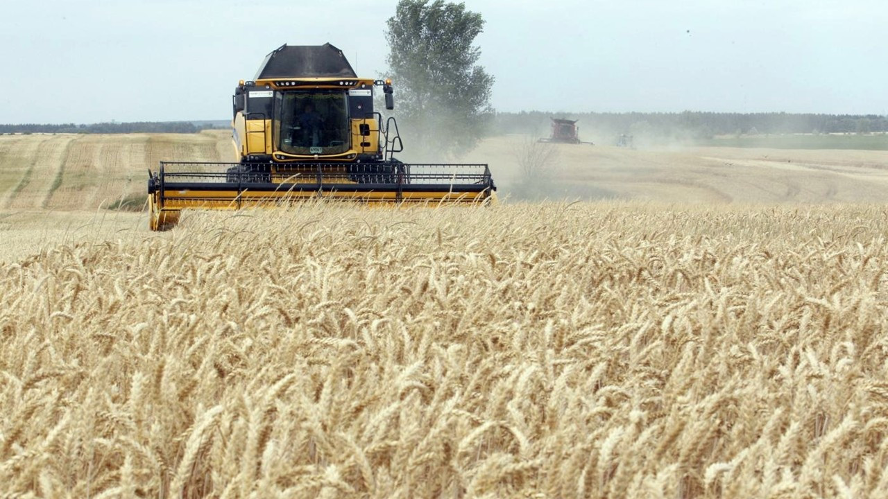 Rusya, tahıl ihracat hacmini düşürebilir
