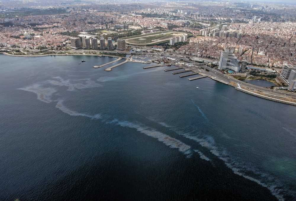 Sea surface is covered with diesel oil in Zeytinburnu - Page 2
