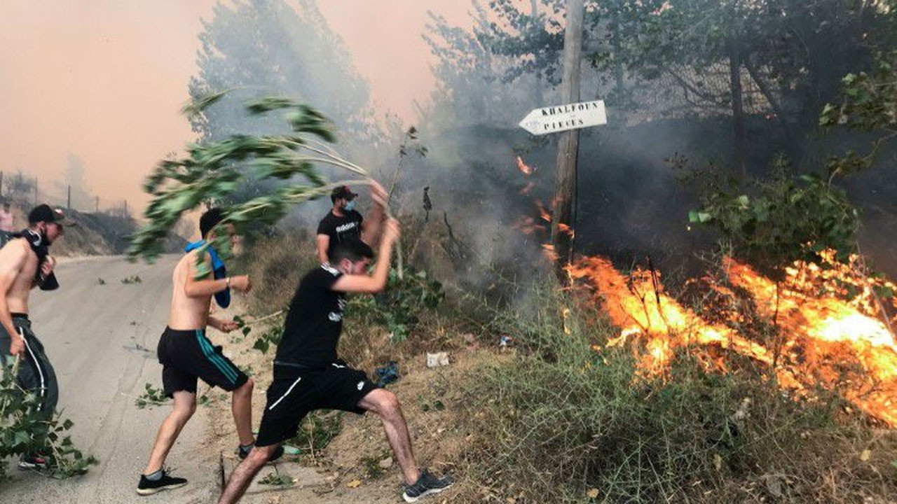 Cezayir'deki orman yangınlarında 26 kişi öldü