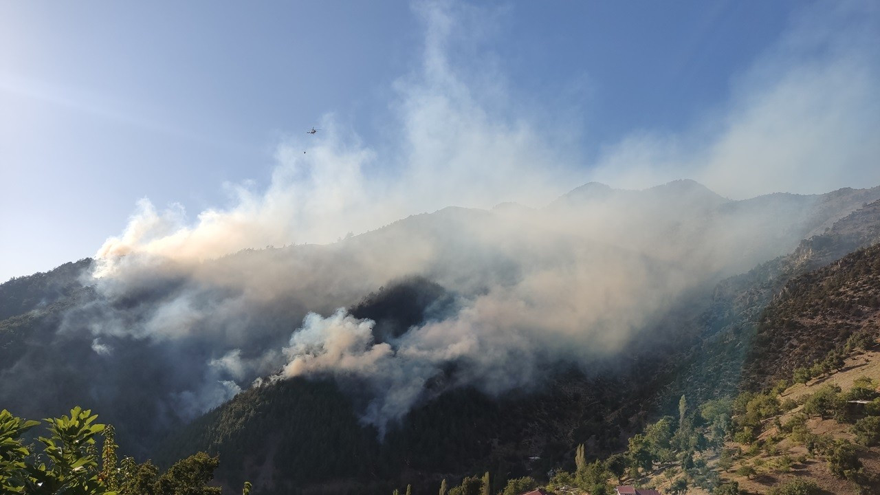 Alanya'daki orman yangını kısmen kontrol altına alındı