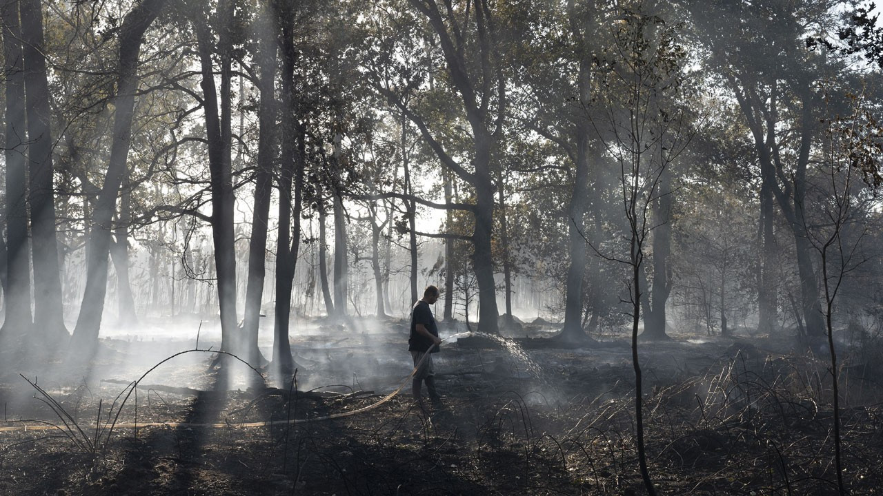 Fransa'da 3 bin 600 hektarlık orman yandı