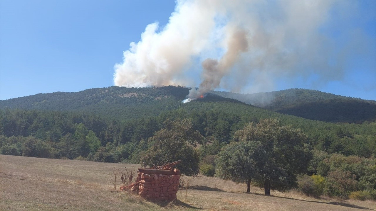 Eskişehir ve Balıkesir'deki orman yangınları kontrol altına alındı