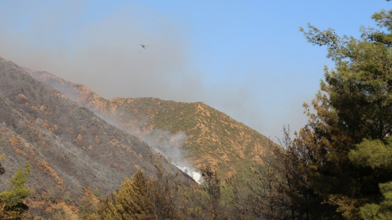 Tavlı: Marmaris'teki orman yangını kontrol altına alındı