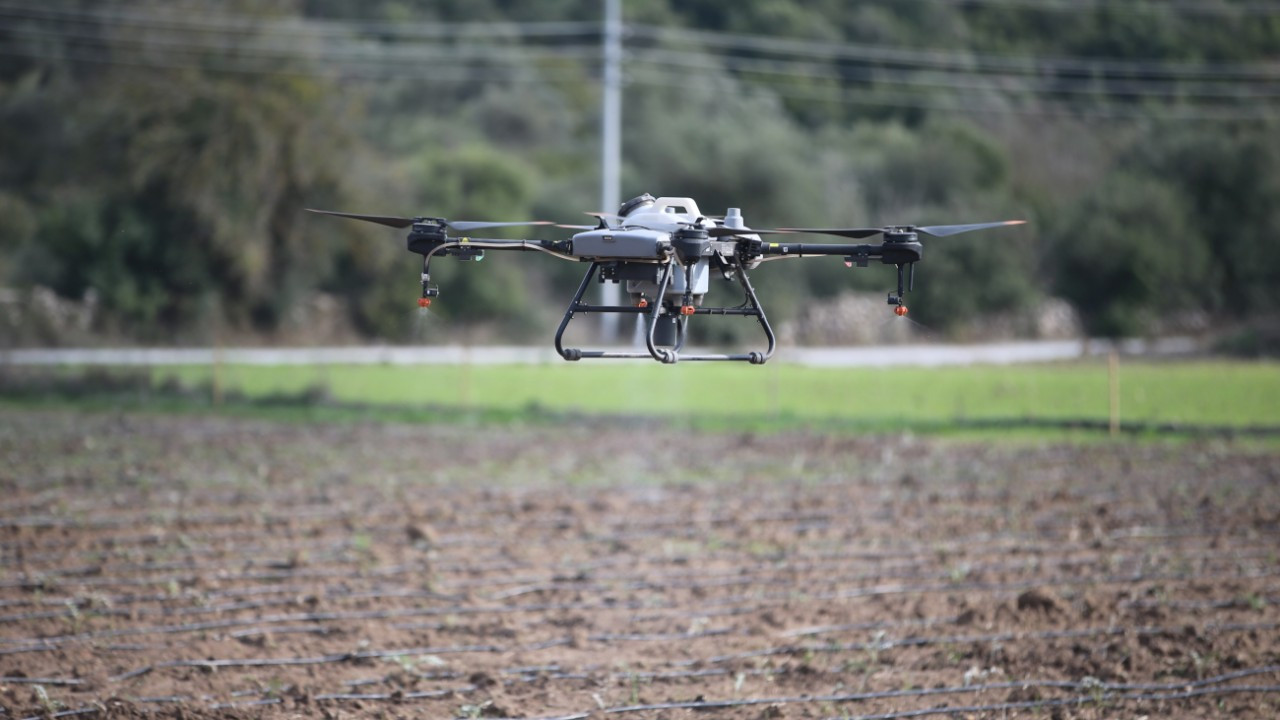 Bodrum'da tarlalar dron ile ilaçlanıyor