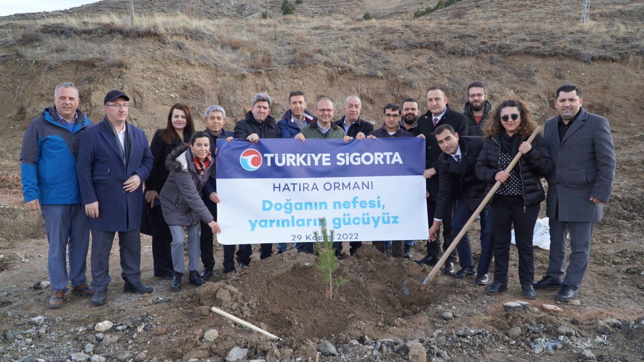 Türkiye Sigorta, Sivas'ta Hatıra Ormanı oluşturdu