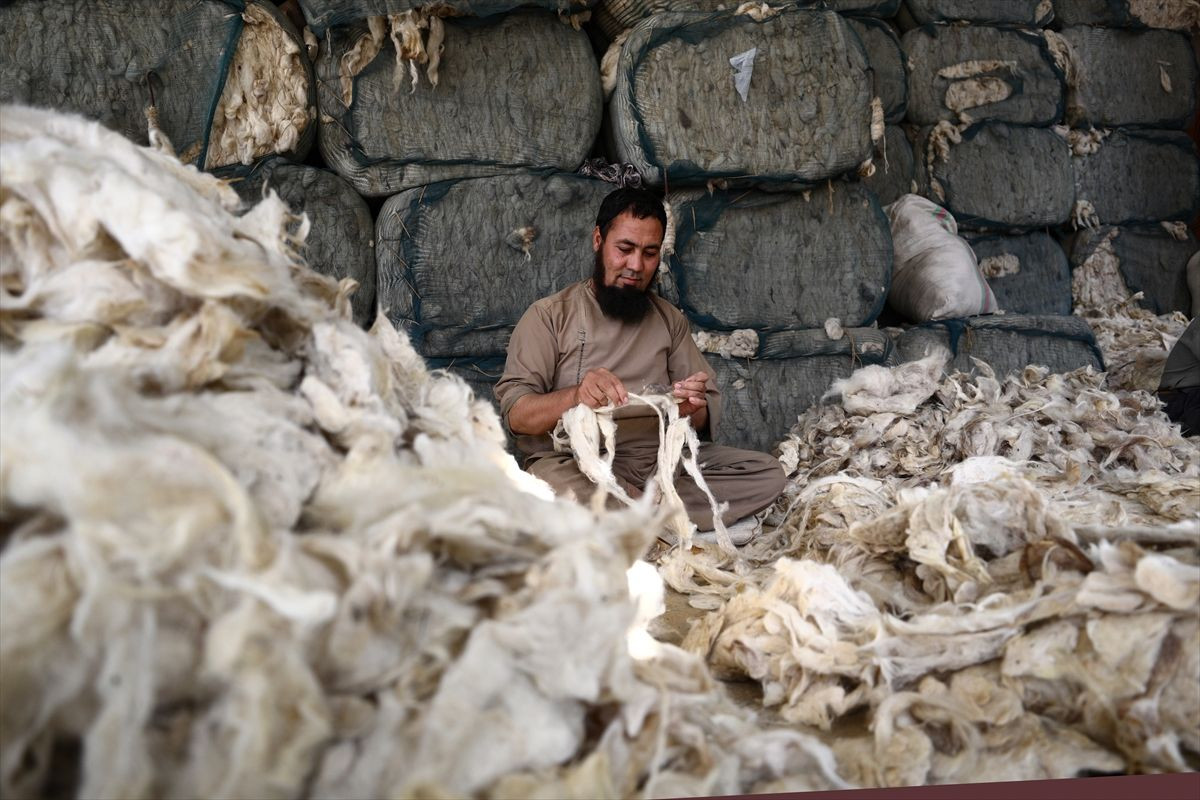 Dünya pazarına sunulan Afgan halısının üretim merkezleri arasında Türkiye de var - Sayfa 2
