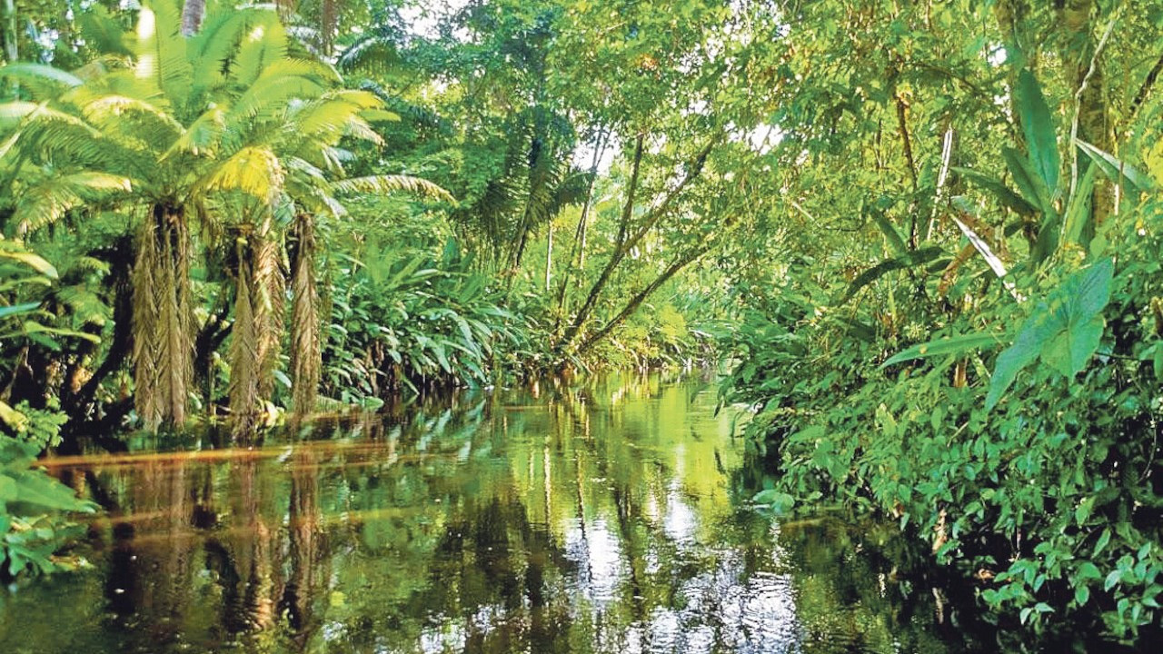 Amazon’u korumak için 10 milyar dolarlık rekor tahvil önerisi