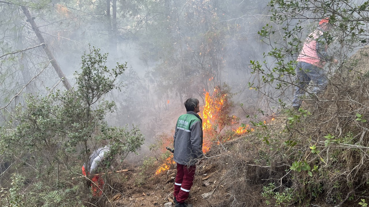 Alanya'da orman yangını: 10 dönüm alan zarar gördü