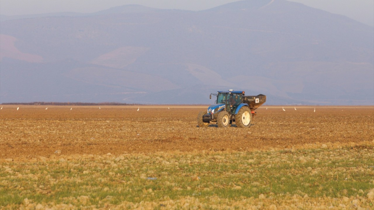 Kuruyan Marmara Gölü'nde tarıma başlandı